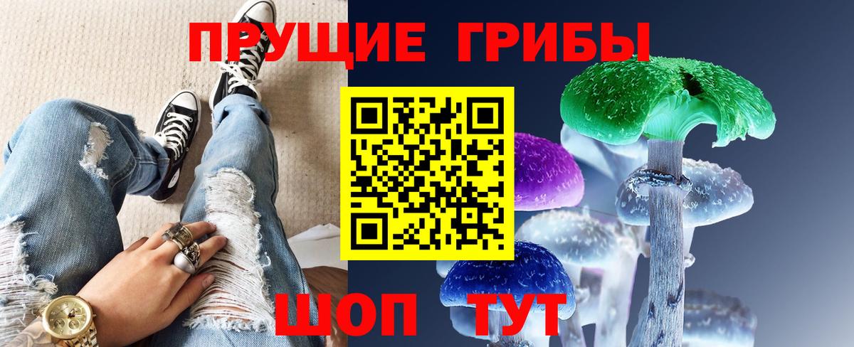 Галлюциногенные грибы Psilocybine cubensis  Вход с VPN  Костомукша 