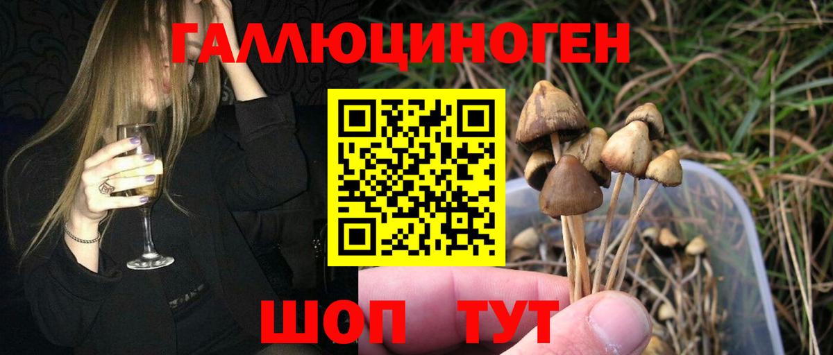 Псилоцибиновые грибы Cubensis Костомукша